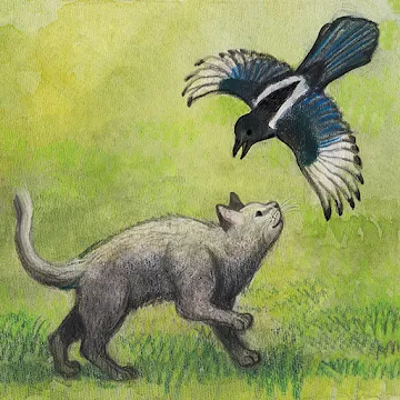 Milo and the Magpies v1.0.21
