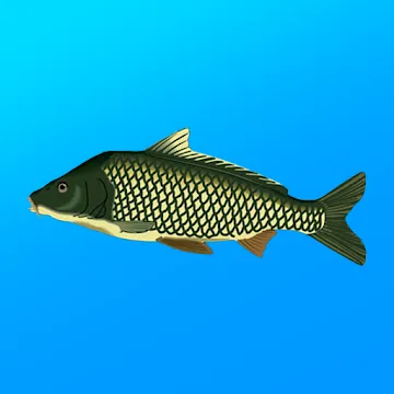 Реальная Рыбалка MOD APK (много денег) v1.19.2.937