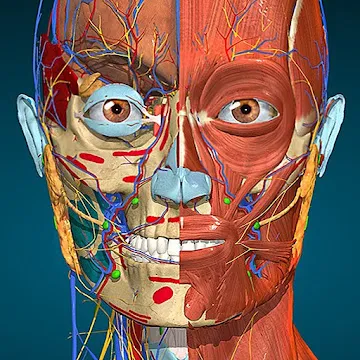 Anatomy Learning — 3D анатомический атлас MOD APK (все открыто) v2.1.419