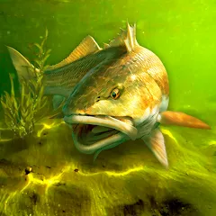 My Fishing World — Реальная рыбалка MOD APK (много денег/меню) v1.16.28