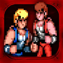 Double Dragon Trilogy v1.8.5