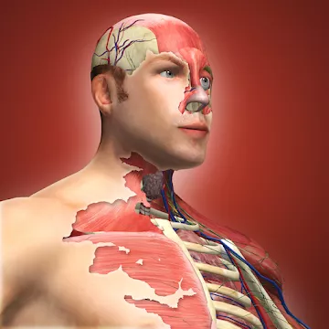 Idle Human MOD APK (много денег) v1.13