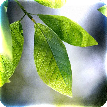 Fresh Leaves v1.9.5