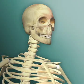 Idle Human 2 MOD APK (много денег) v2.0.0