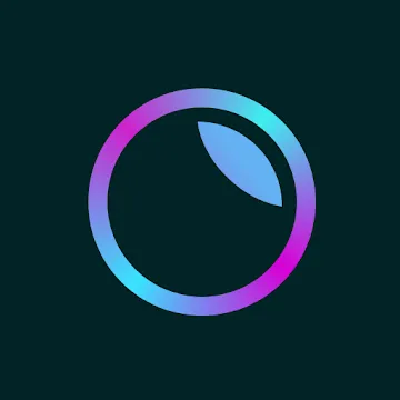 Пресеты для Lightroom — PRO Лайтрум Presets v2.3.5