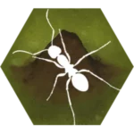 Finally Ants