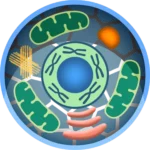 Cell World
