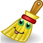 Fancy Broom