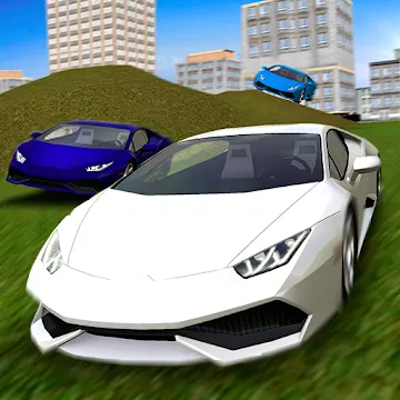 Multiplayer Driving Simulator MOD APK (бесплатные покупки) v1.13
